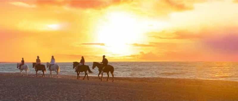 Billet Île de Rhodes : balade à cheval sur la plage au coucher du soleil