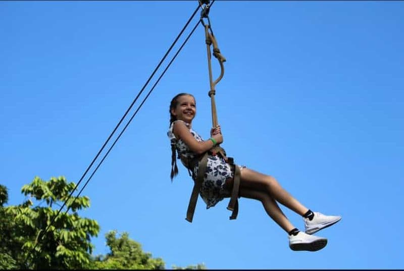 Billet Roatan Jungle Top Zip Line Excursion sur le rivage avec Singe/Sloth