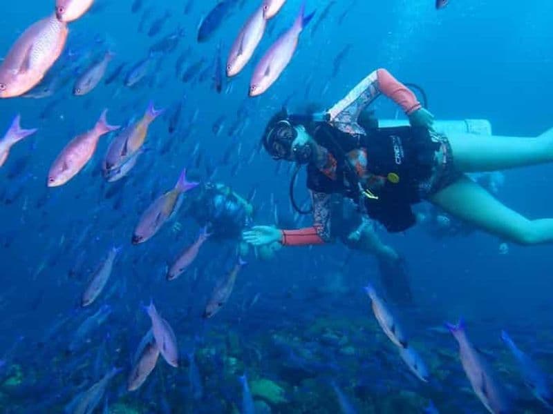 Billet Carthagène : Plan de plongée à 2 bouteilles pour plongeurs certifiés