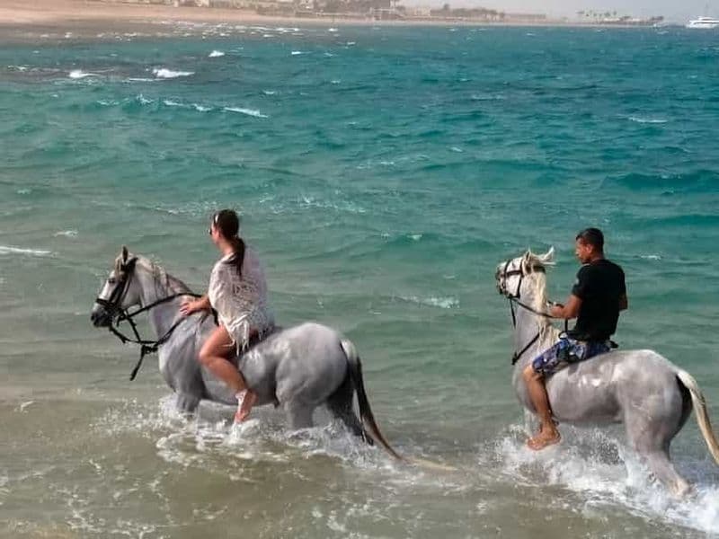 Billet El Gouna : Randonnée à cheval dans le désert et la mer avec baignade en option