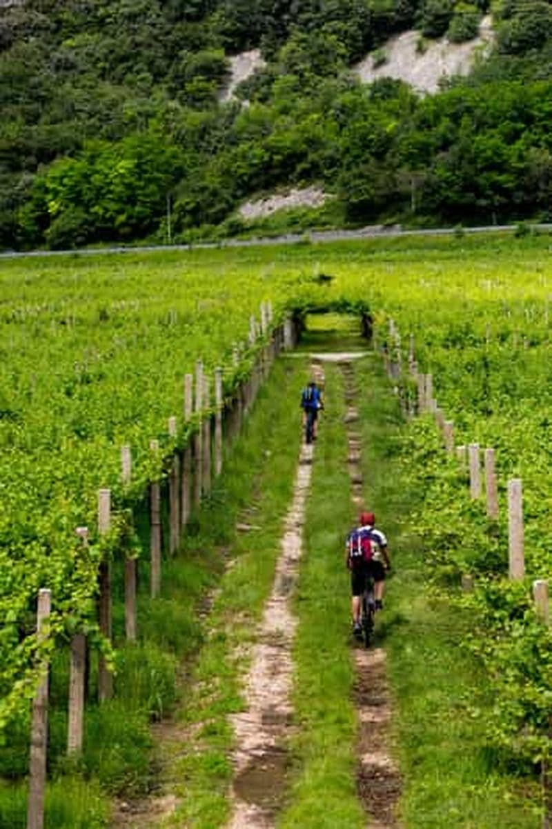 Billet 2 jours d'excursion dans les vignobles : 3 dégustations de vin, hôtel local, 3 repas