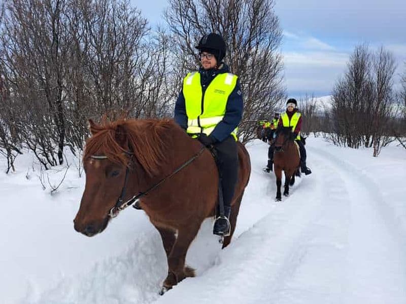 Billet Tromsø : Expérience d'équitation hivernale avec le cheval de Lyngen