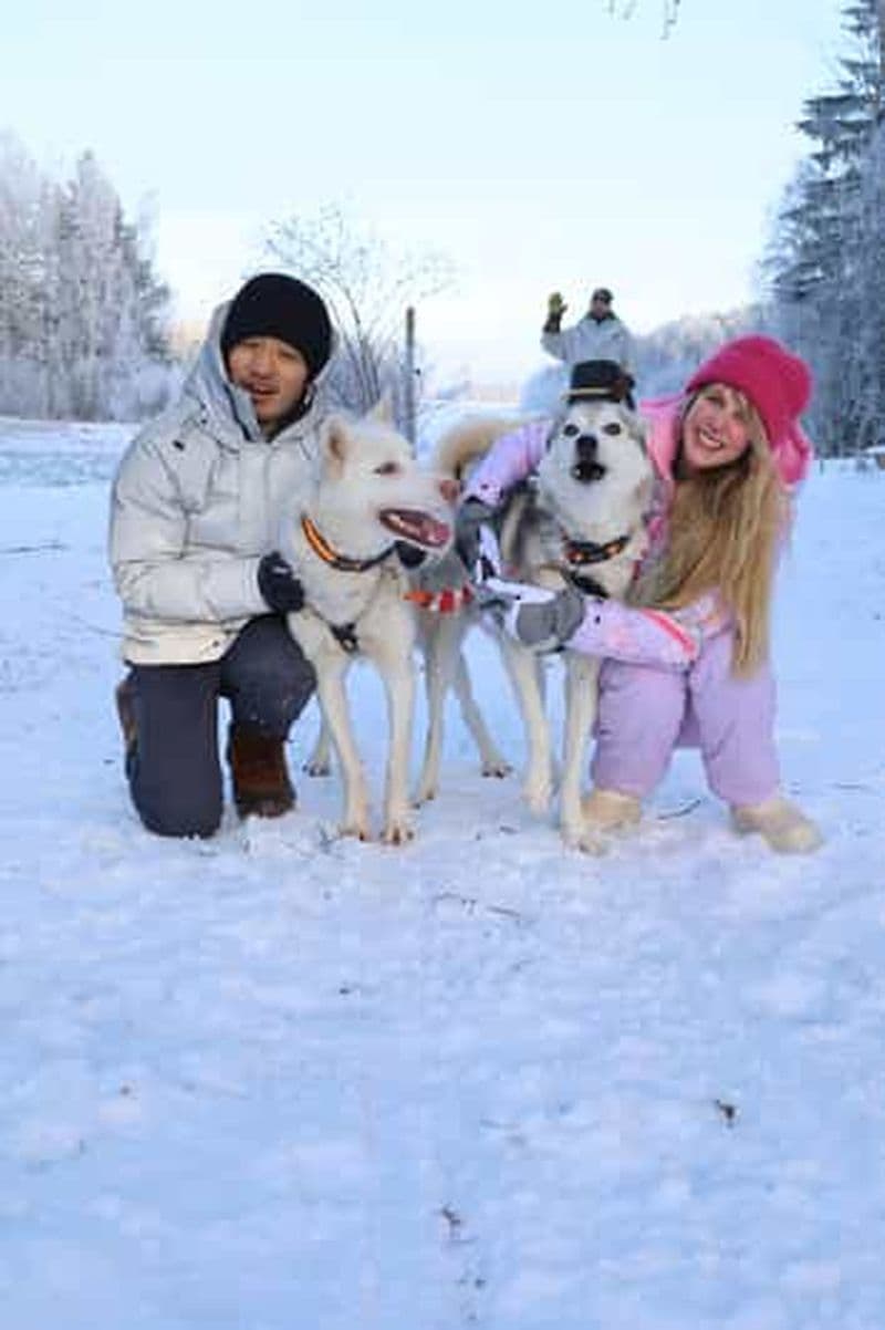 Billet Lappeenranta : visite d'une ferme de huskies, promenade en traîneau à huskies et tipi