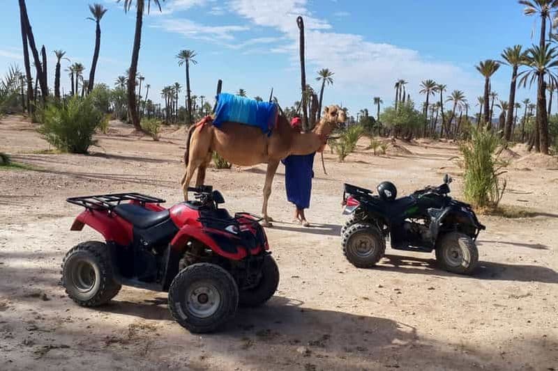 Billet Marrakech : Balade à dos de chameau et en quad de 2 heures dans la Palmeraie