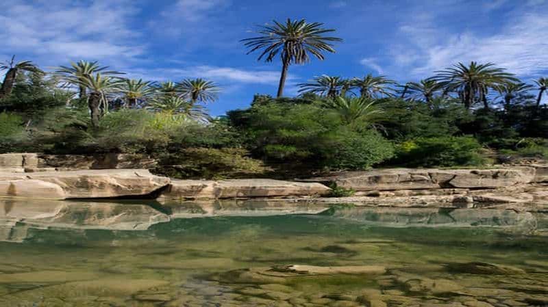 Billet Agadir ou Taghazout : Crocoparc + Monde des dauphins + Billets