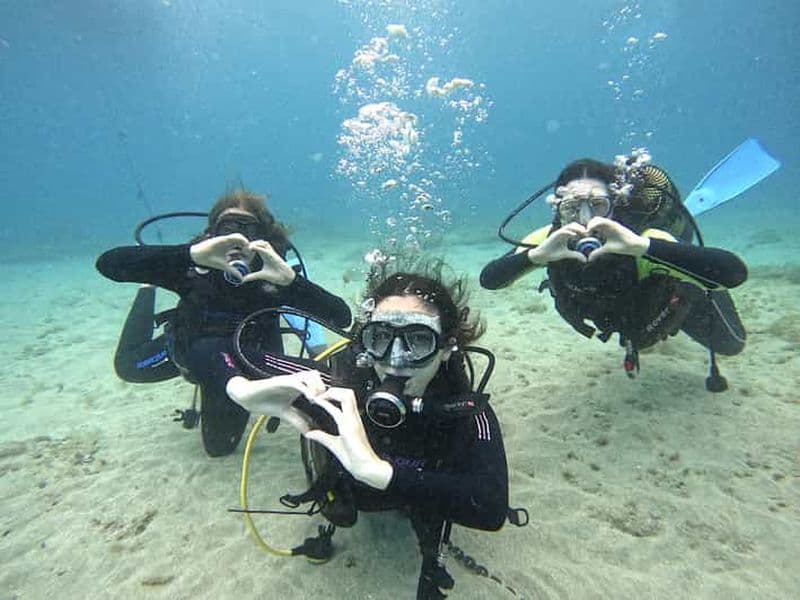 Billet Tenerife : Plongée pour débutants sur un site où l'on peut observer des tortues