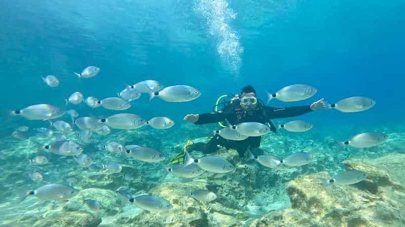 Billet Plongée sous-marine privée et individuelle – Aucun certificat requis