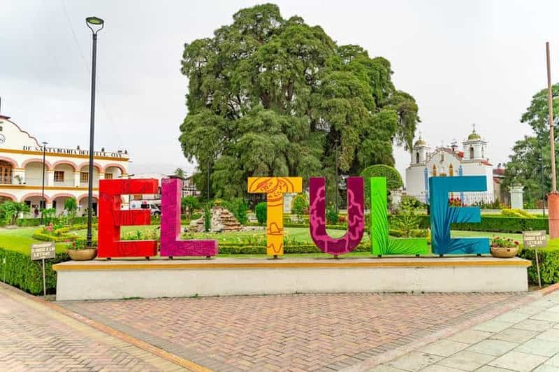 Billet Depuis Oaxaca : Visite de la ville, de Mitla et de la fabrique de mezcal