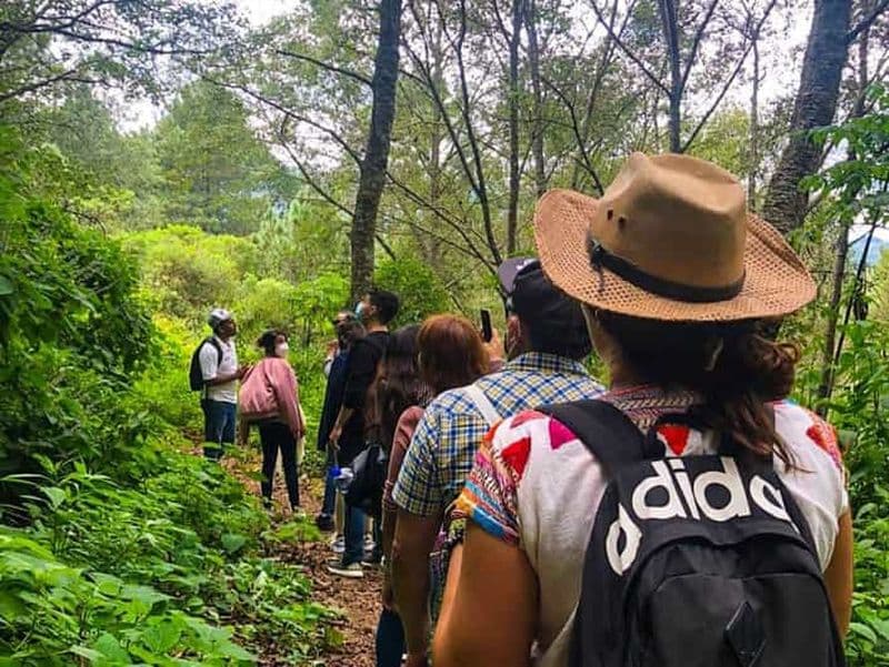 Billet Depuis Oaxaca : Hierve el Agua, Mitla, Tule Tree & Mezcal Tour
