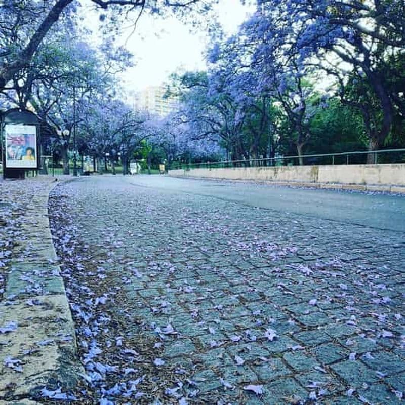 Billet Visite privée personnalisée d'une journée avec transfert aéroport disponible