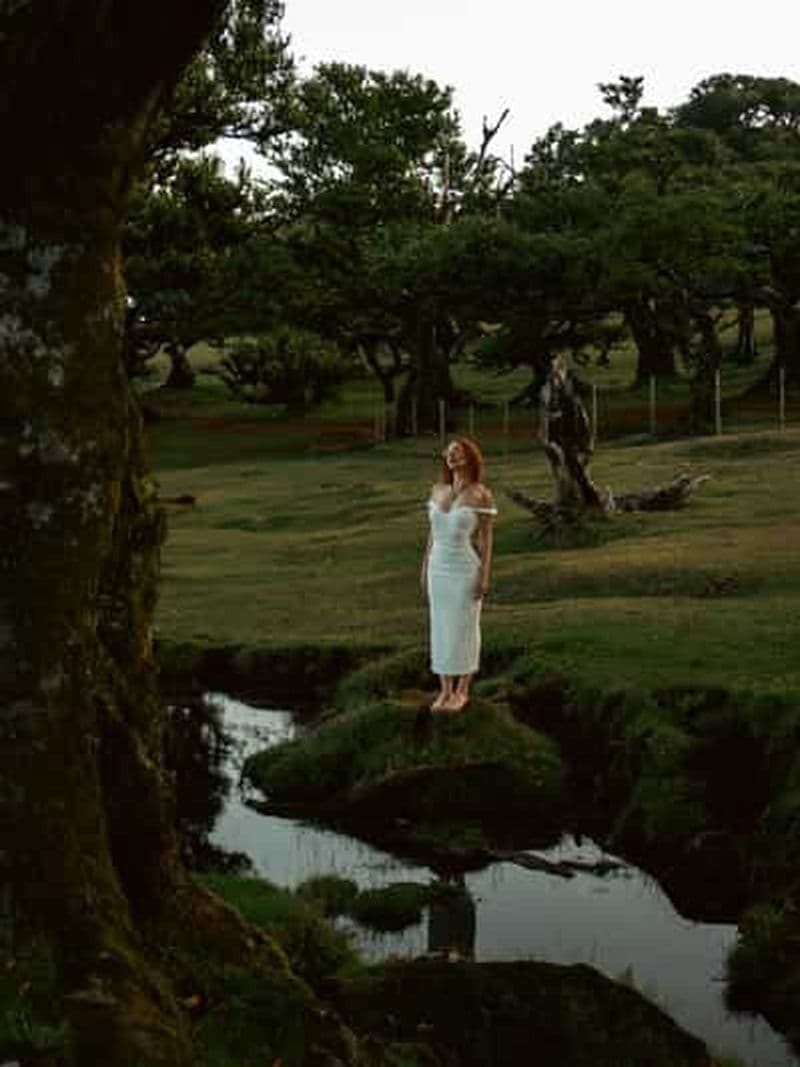 Billet Madère : Forêt de Fanal, Piscines de Lave et Dégustation de Vin