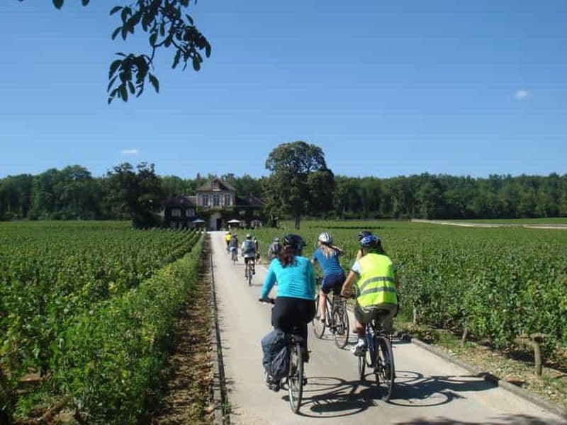 Billet Au départ de Beaune : Visite d'une jounée en Bourgogne à vélo et autour du vin