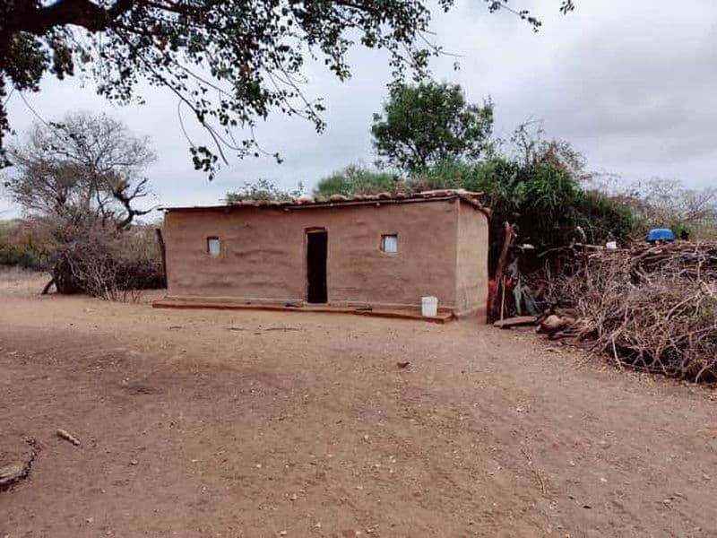 Billet Arusha : excursion d'une journée au village masaï et à la faune sauvage