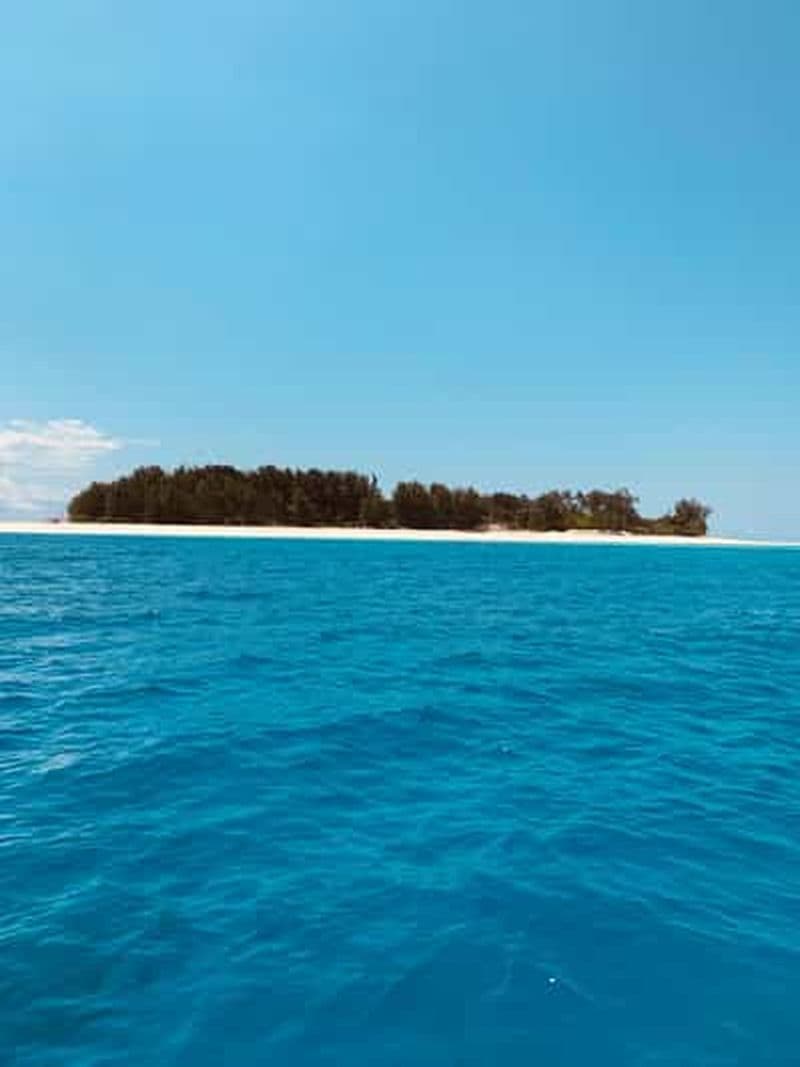 Billet Kiwengwa : excursion de plongée avec tuba et jet ski sur l'île de Mnemba