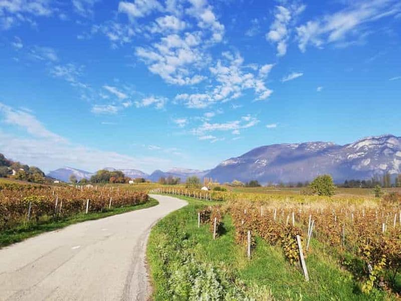 Billet Visite des vignobles avec chauffeur privé