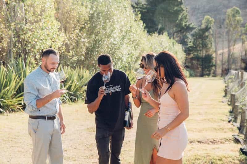 Billet Île de Waiheke : visite panoramique de l'île et dégustation de vins locaux