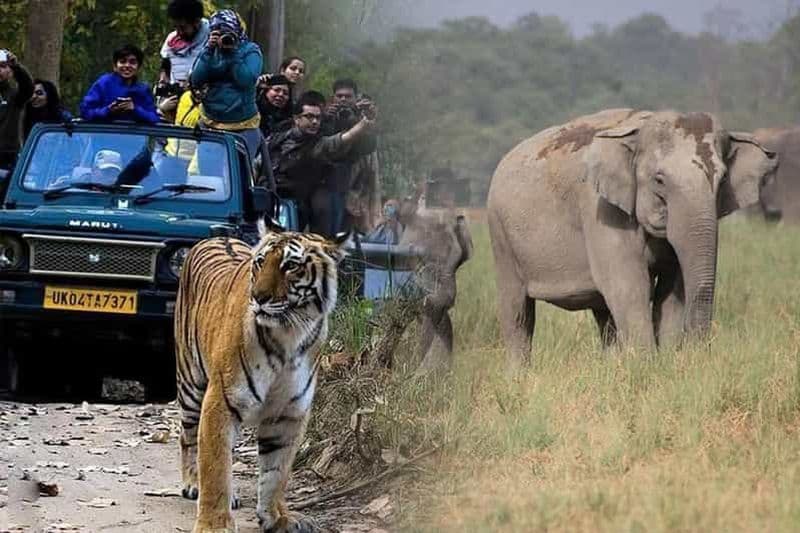Billet Explore Taj & Ranthambore: Dual Safari Adventure from Delhi