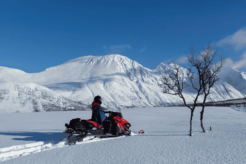 Billet Tromsø : Safari en motoneige dans les Alpes de Lyngen avec déjeuner