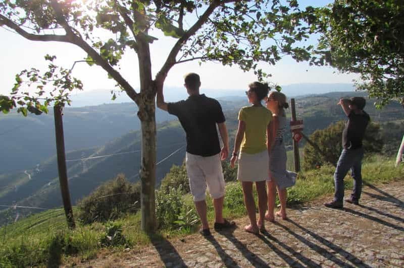 Billet Porto : 3 visites des vignobles de la vallée du Douro avec déjeuner