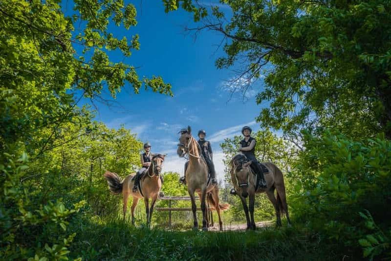 Billet Fontainebleau : équitation, gastronomie et château