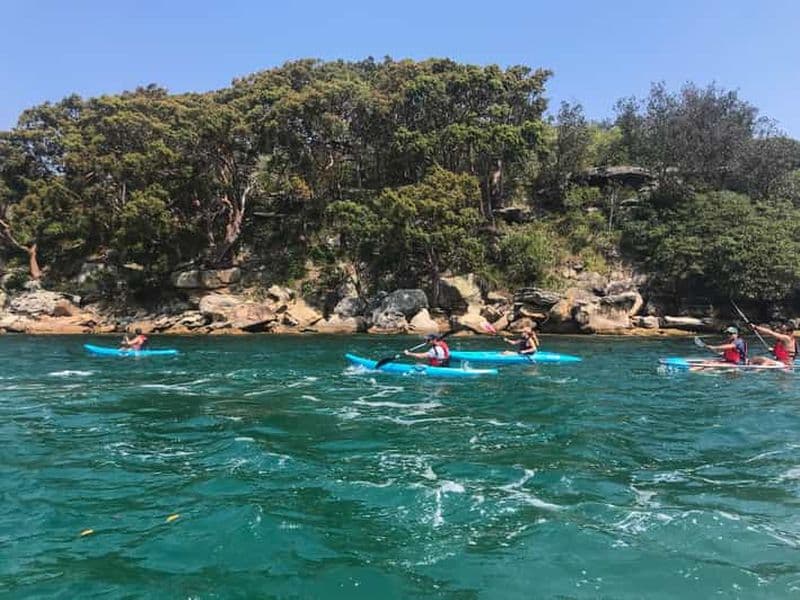 Billet Sydney : Visite guidée en kayak des plages de Manly Cove