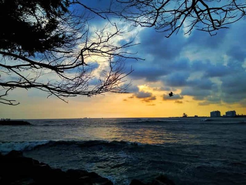 Billet Visite à pied du patrimoine de Fort Kochi avec un guide de la région