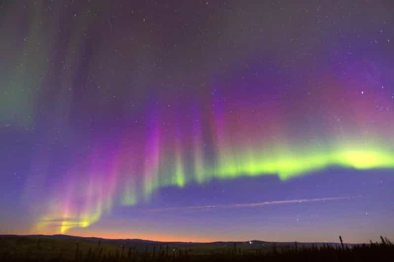 Billet Fairbanks : Traîneau à chiens au clair de lune, dîner et aurores boréales