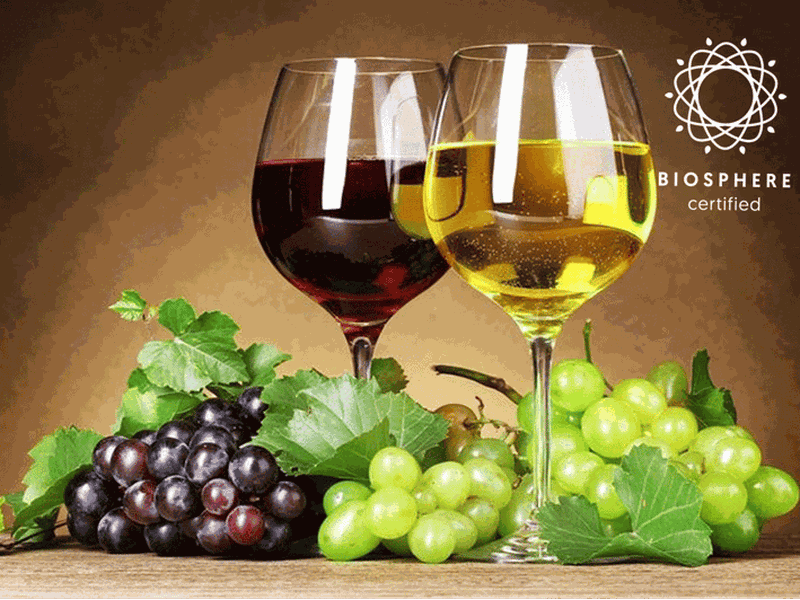 Billet Madère : dégustation de vin, musée du miel et Cabo Girão