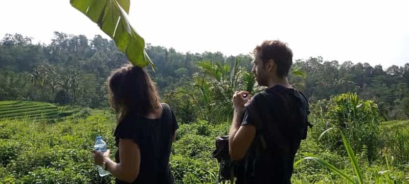 Billet de la ferme à la table, visite à pied et expériences agricoles