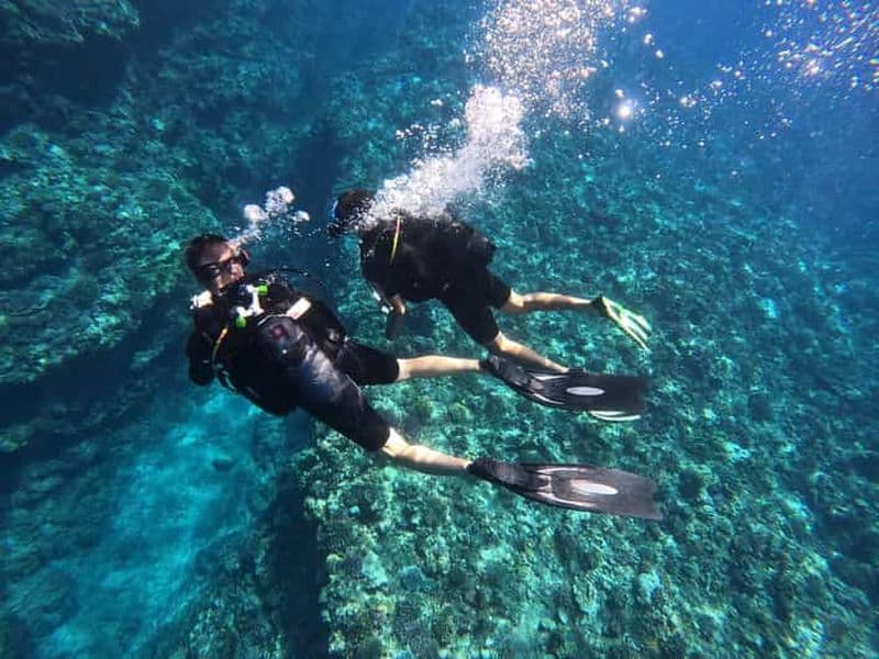 Billet Initiation d'une heure à la plongée-sous-marine !