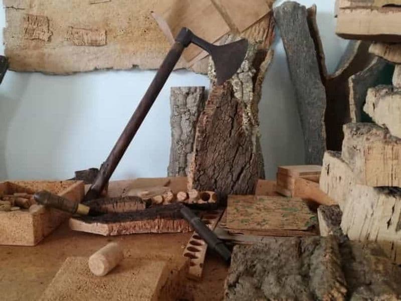 Billet Visite privée d'Évora : liège, usine, cave et ville