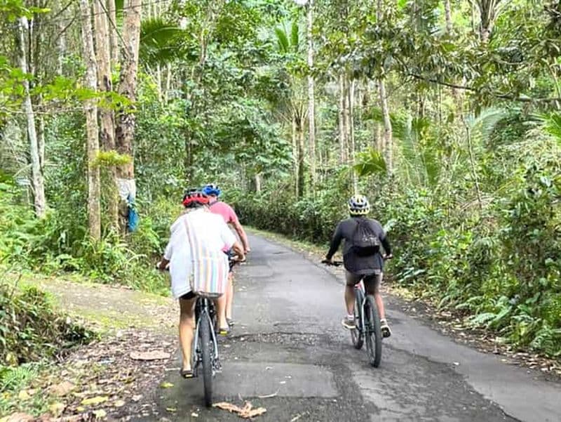Billet Pédalez au paradis : Bali Wanderlust Sidemen Cycling Tour