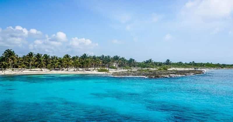 Billet Cancun : Plongée à Cozumel pour les débutants