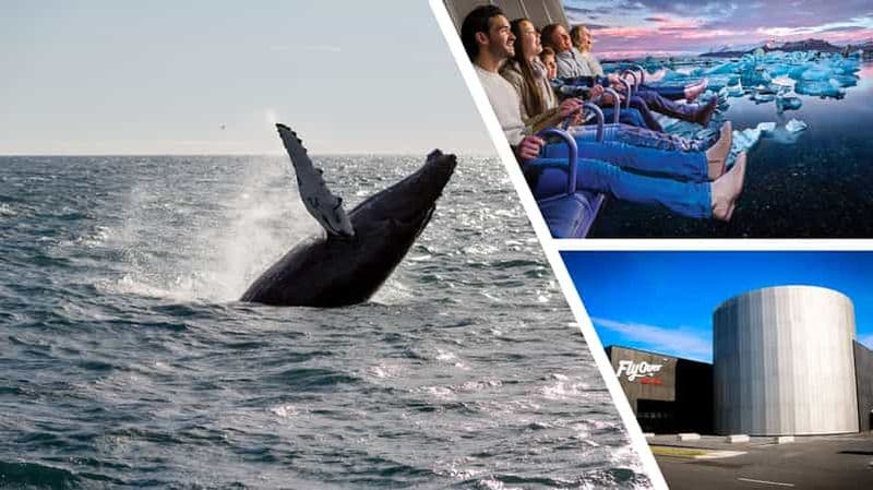 Billet Reykjavík : Croisière d'observation des baleines et billet combiné FlyOver