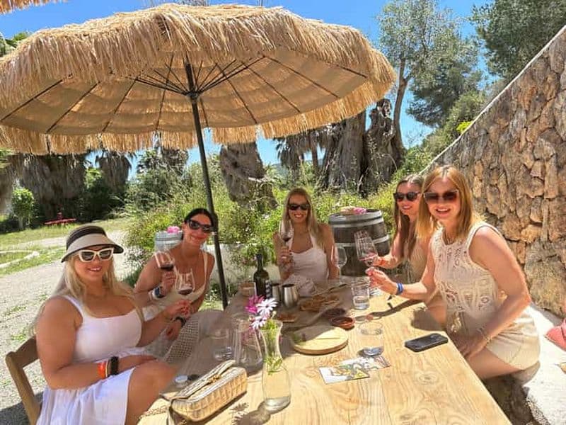 Billet Visite œnologique à Ibiza : dégustation de vins et tapas dans un domaine viticole