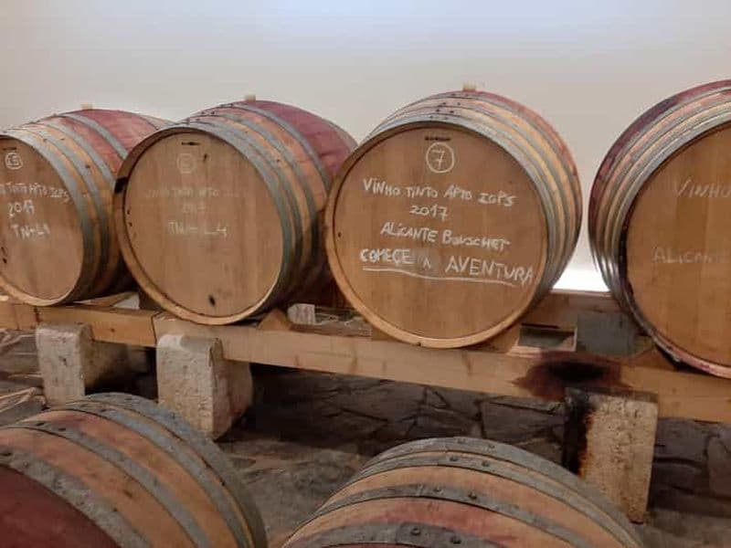 Billet Dégustation de vins incroyables en Alentejo !