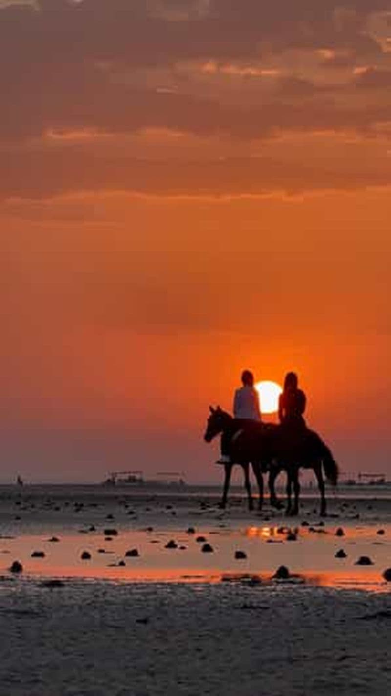 Billet Randonnée à cheval à Muscat | Randonnée à cheval sur la plage