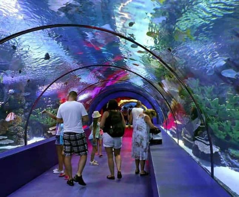 Billet Antalya, Side, Alanya : Transfert vers l'aquarium d'Antalya