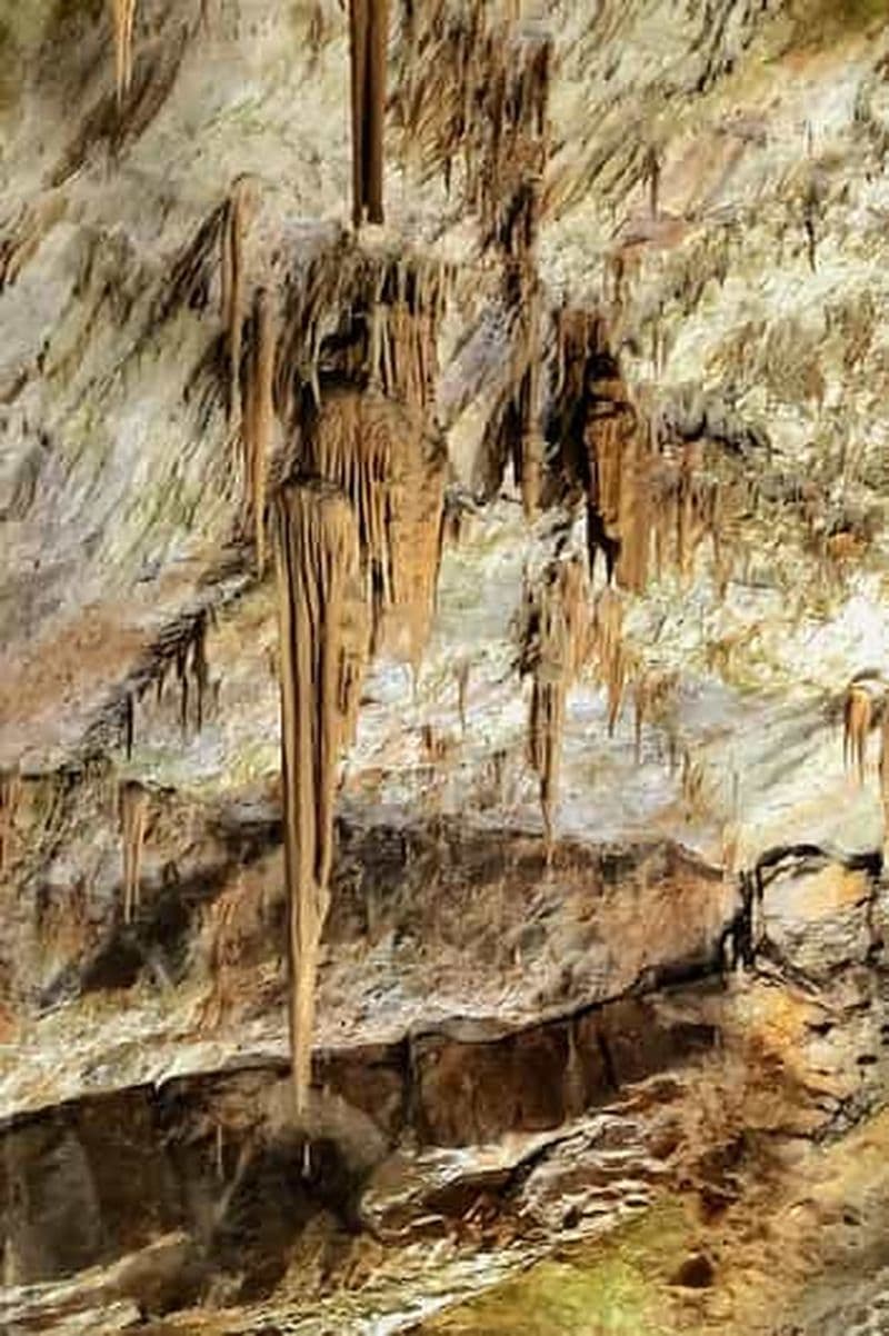 Billet Depuis Ljubljana : visite guidée des grottes de Postojna et du château de Predjama