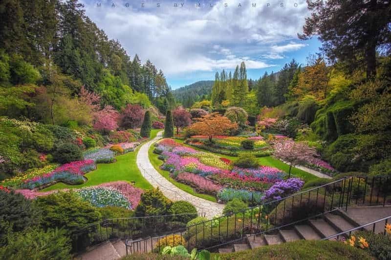 Billet Depuis Vancouver : Visite de la ville de Victoria et des jardins Butchart