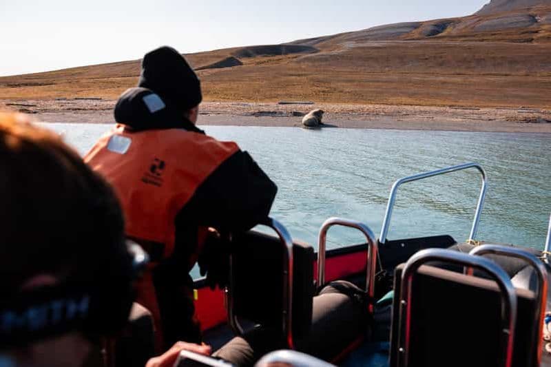 Billet Longyearbyen : tour en bateau dans l'Arctique avec glacier et faune sauvage