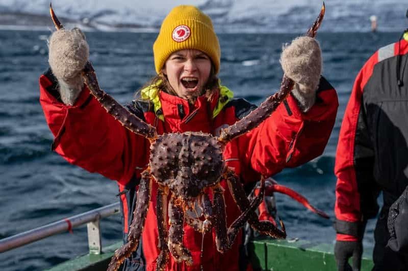 Billet Excursion officielle de pêche au crabe royal à Tromsø
