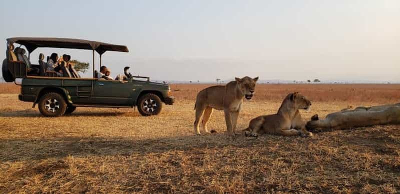 Billet Excursion d'une journée au parc national de Saadani - depuis la ville de Tanga