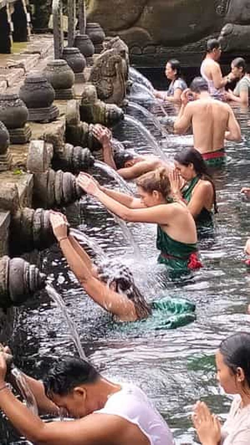 Billet Forêt de singes, Tirta empul, Tegalalang et plantation de café