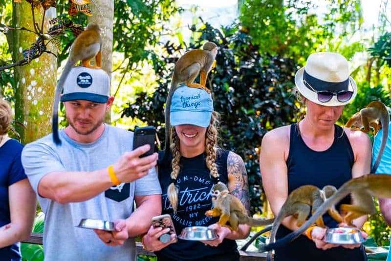 Billet Puerto Plata : Monkeyland et tyrolienne