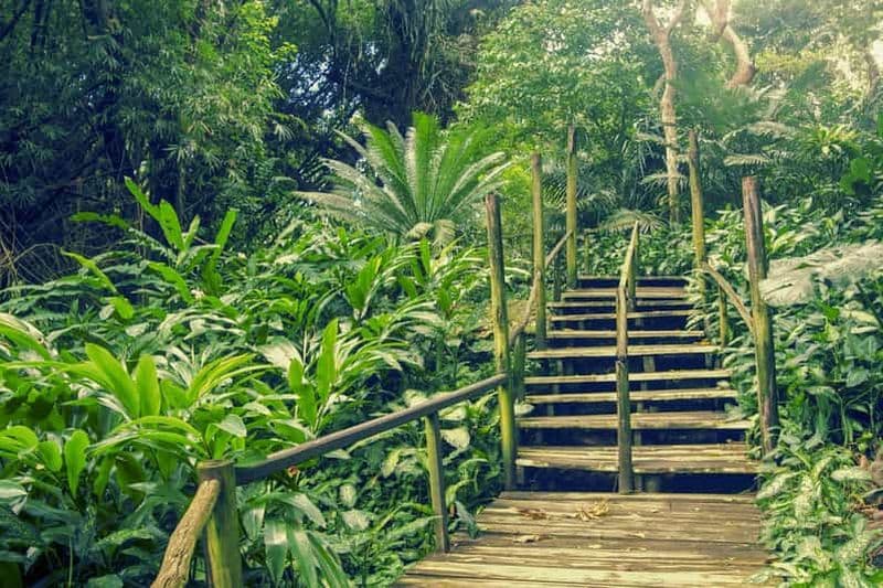 Billet Nadi : Circuit des sources d'eau chaude et des temples de Garden Village