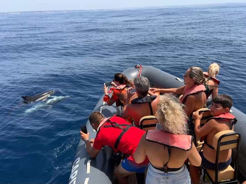 Billet Depuis Lagoa : Dauphins et Ponta da Piedade avec guide biologiste