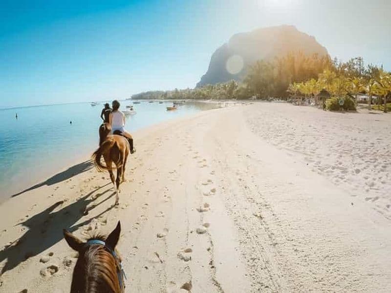 Billet Hurghada : Excursion à cheval dans le désert et la mer avec transfert
