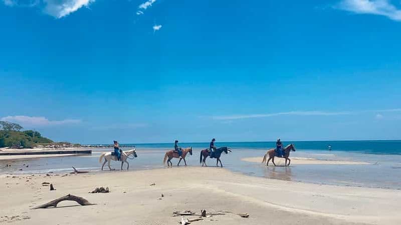 Billet Miami : Promenade à cheval sur la plage et sentier de découverte de la nature