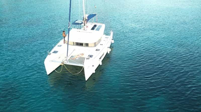 Billet Martinique: Dolphin and Turtle Watching Catamaran Day Tour